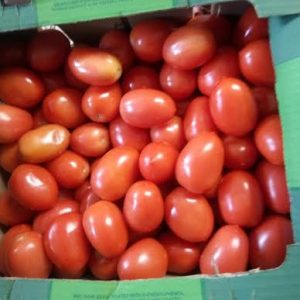 Fresh Tomatoes (Pack)